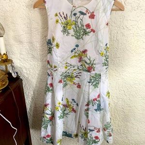 Gap Git and Flare dress